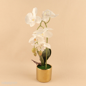 Hot Sale Artificial Orchid Flowers Potted Orchid in Ceramic Pot