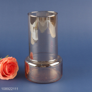 New product living room decoration glass flower <em>vase</em> hydroponic <em>vase</em>