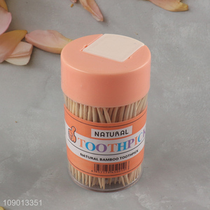 China Imports 300 Count Eco-Friendly Natural Bamboo <em>Toothpicks</em> for Home